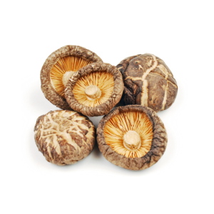 Cogumelo Shitake Origem Portugal