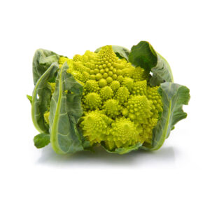 Couve Romanesca Origem Holanda