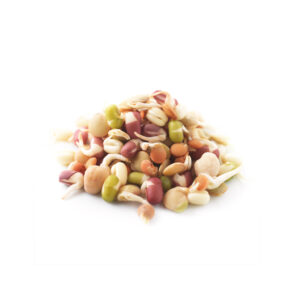 Rebentos Mix CV 125gr