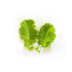 Microleaves Mostarda