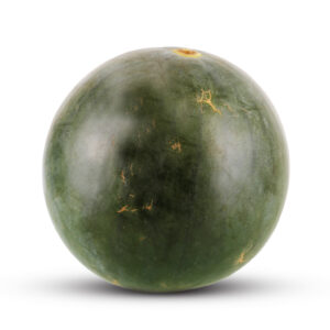 Melancia Preta Origem Portugal